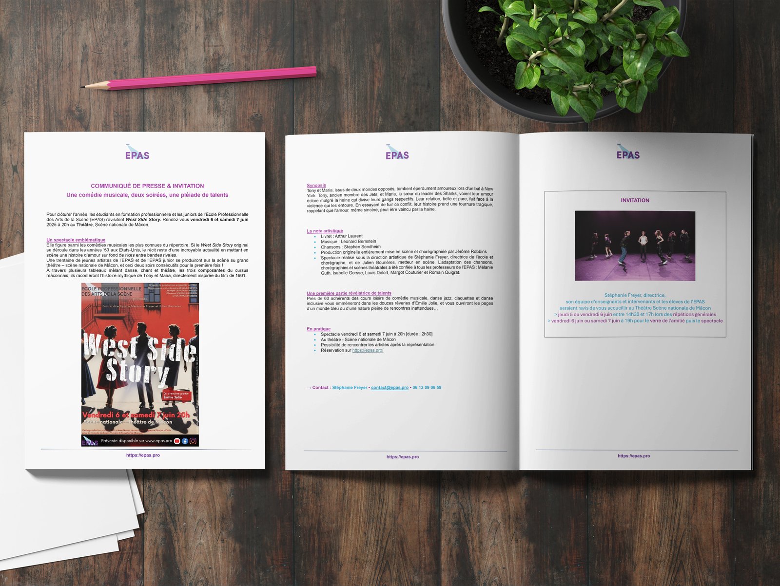 communiqué de presse Ecole Professionnelle des Arts de la Scène Mâcon Anne Pagnotte Biel relations presse RP communication