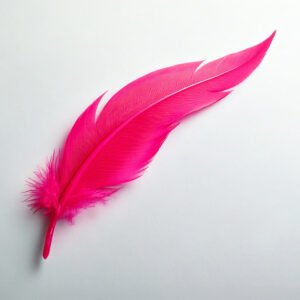 Anne Pagnotte Biel La Plume redaction communication formation